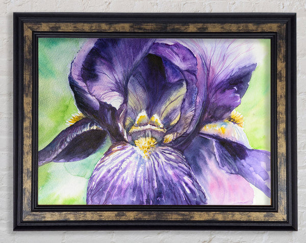 Watercolour Purple Orchid Framed Print