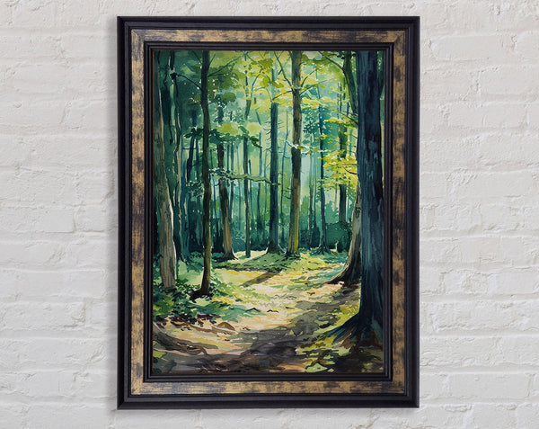 Watercolour Summer Woodland Framed Print