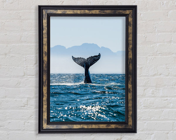Whale Tail Framed Print