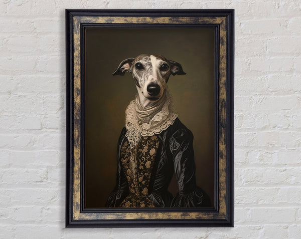 Whippet Regal Framed Print