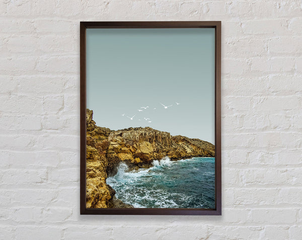 Walnut Birds Fly Over Cliffs Framed Print