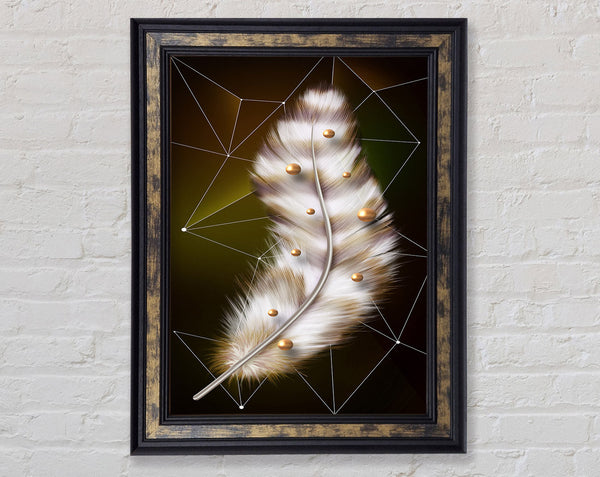 Walnut Feather Framed Print