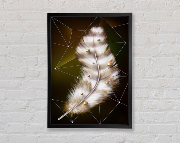 White Feather Framed Print