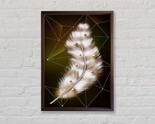 Walnut Feather Framed Print