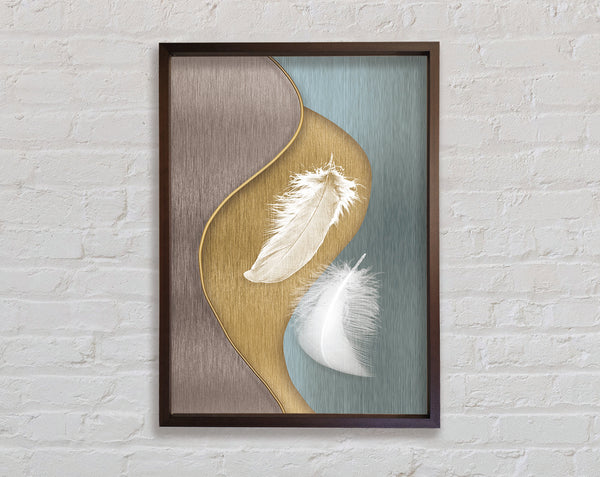 Walnut Feathers Framed Print