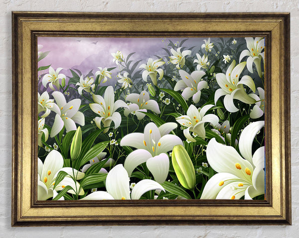 White Lillies Paradise Framed Print