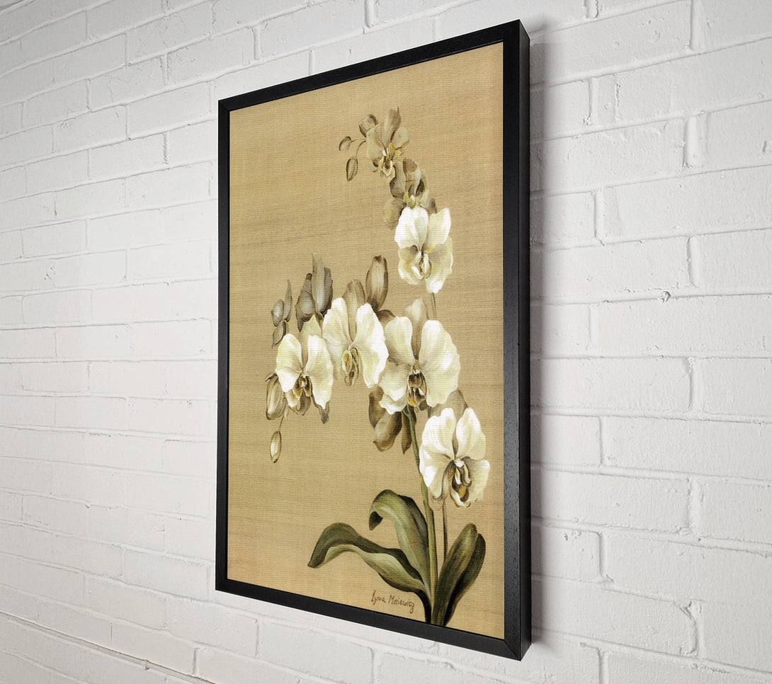 A Canvas Print of White Orchid Patch Canvas Art