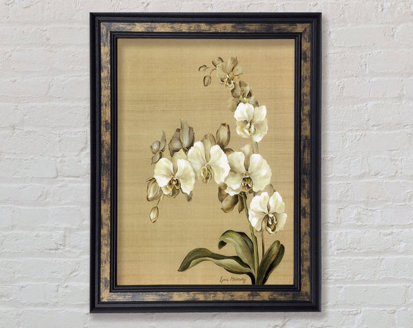 Walnut Orchid Patch Framed Print