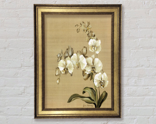 White Orchid Patch Framed Print