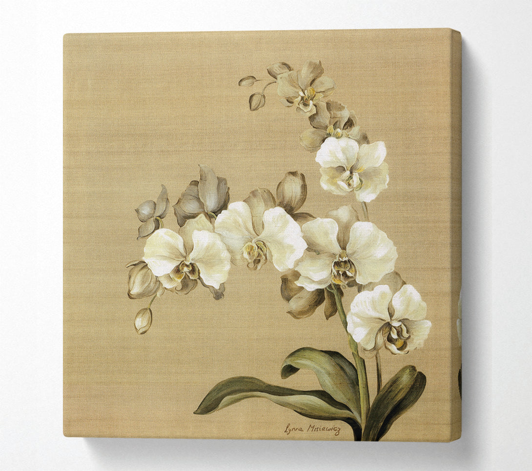  A Canvas Print of White Orchid Patch Canvas Art