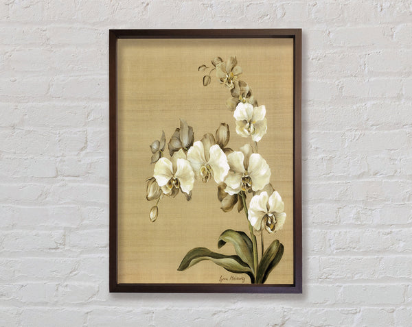 Walnut Orchid Patch Framed Print