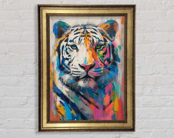 White Tiger Colour Framed Print