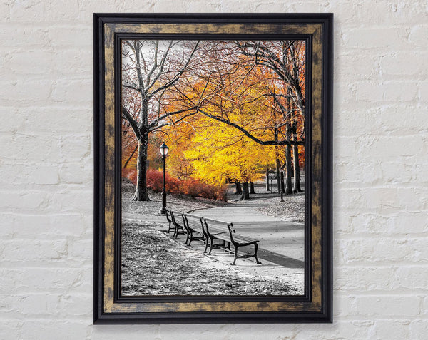 Winter Park Framed Print