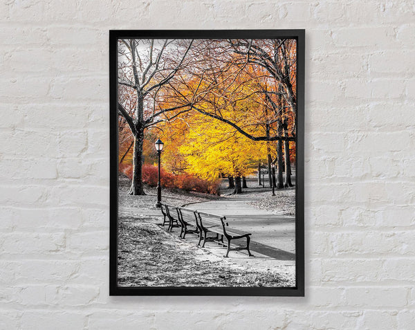 Winter Park Framed Print