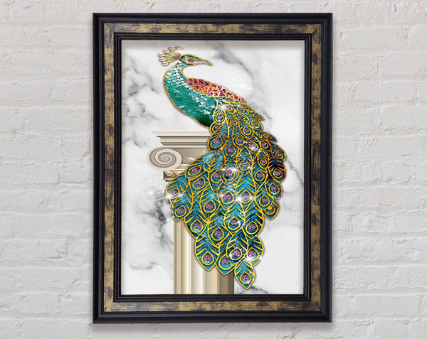 Wonderful Peacock Framed Print