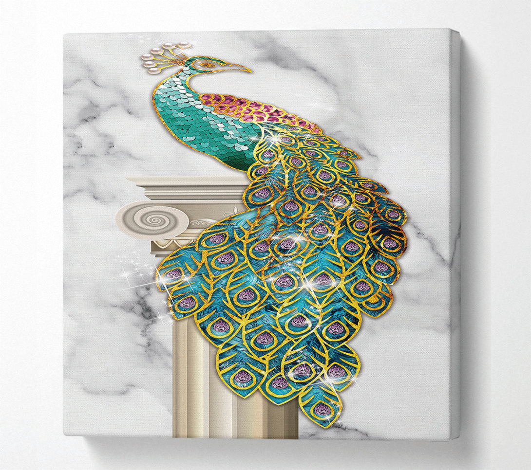  A Canvas Print of Wonderful Peacock Canvas Print
