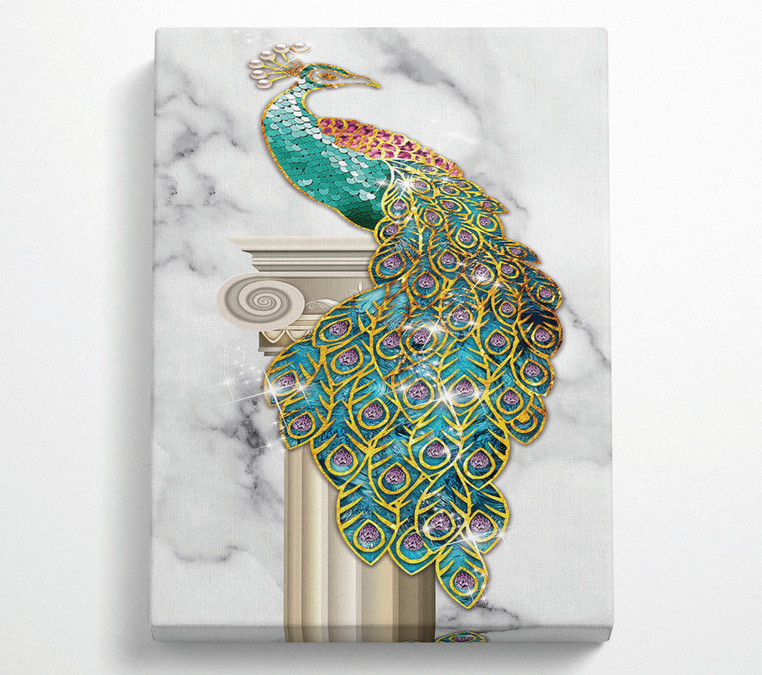  A Canvas Print of Wonderful Peacock Canvas Print