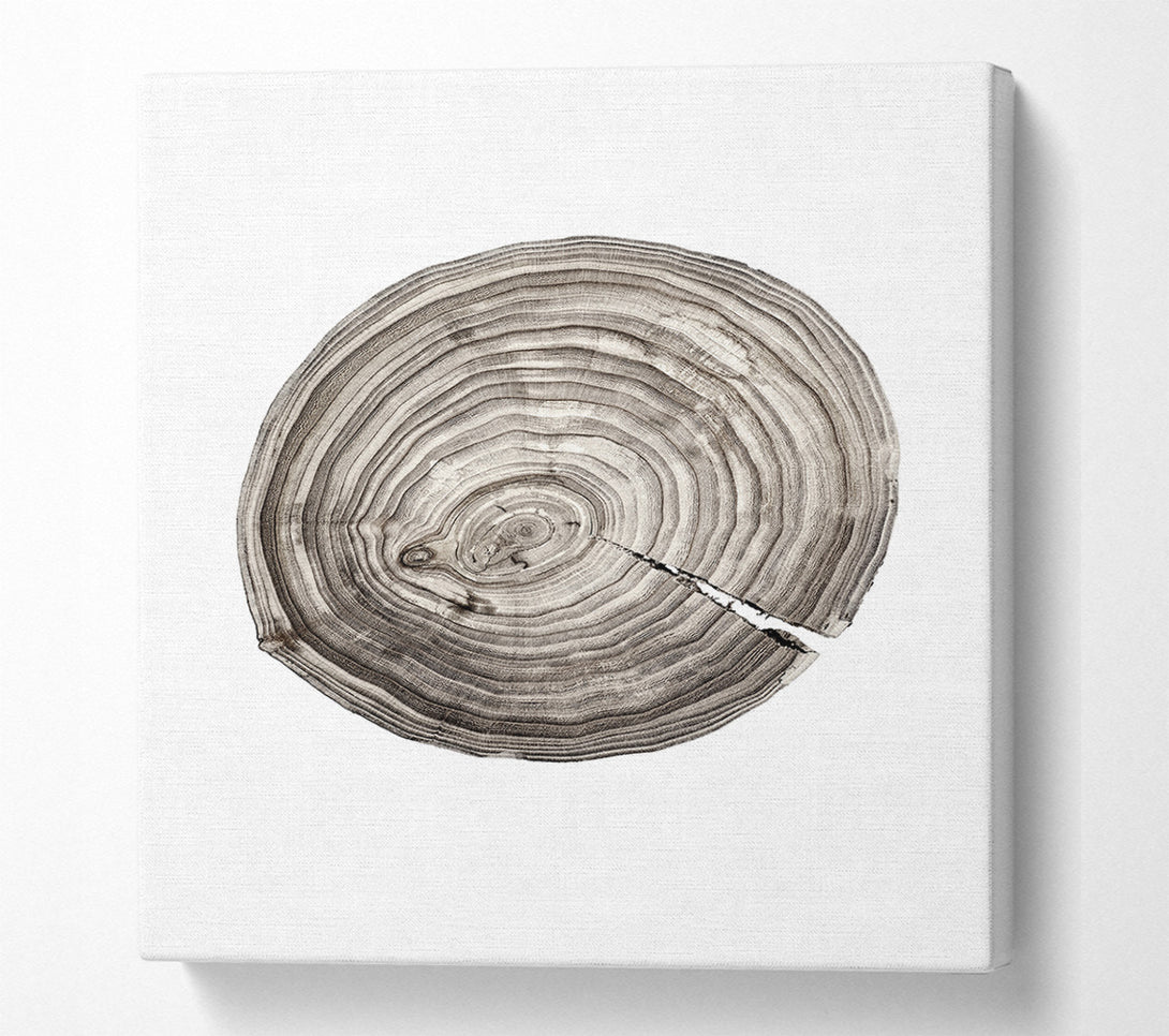  A Canvas Print of Wood Effect Circle Canvas Print
