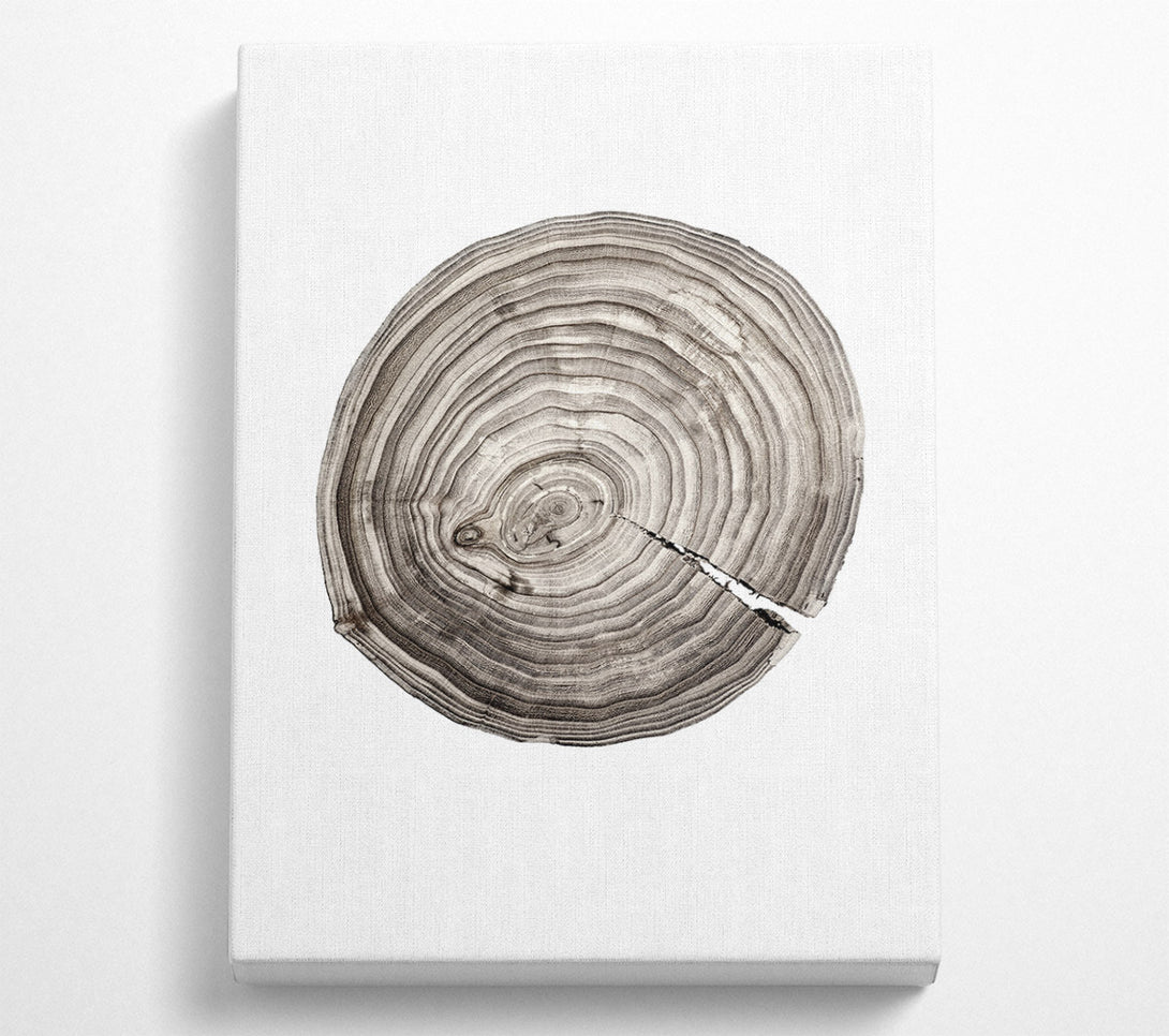  A Canvas Print of Wood Effect Circle Canvas Print
