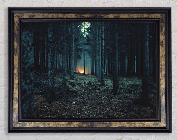Woodland At Dusk Framed Print
