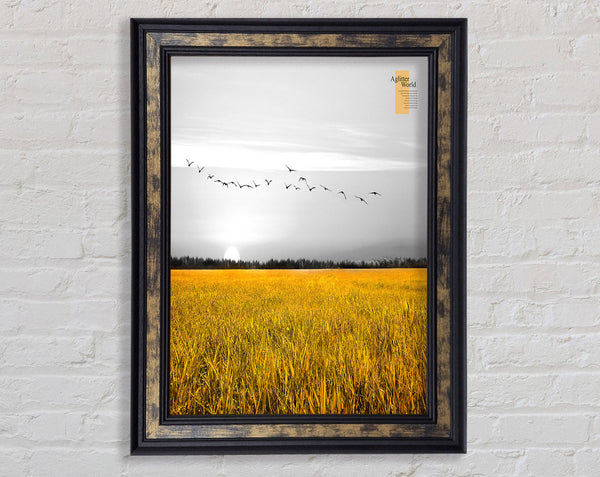 Yellow Field Framed Print