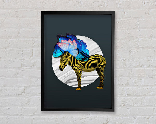 Zebra Butterfly Framed Print