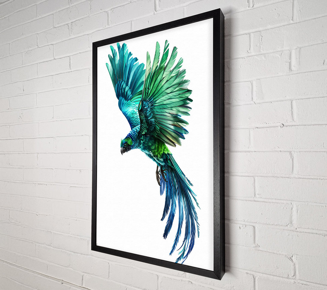  A Canvas Print of Flight Of The Macaw Canvas Wall Art