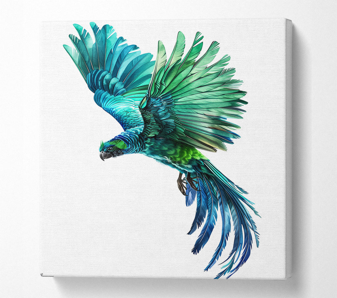  A Canvas Print of Flight Of The Macaw Canvas Wall Art