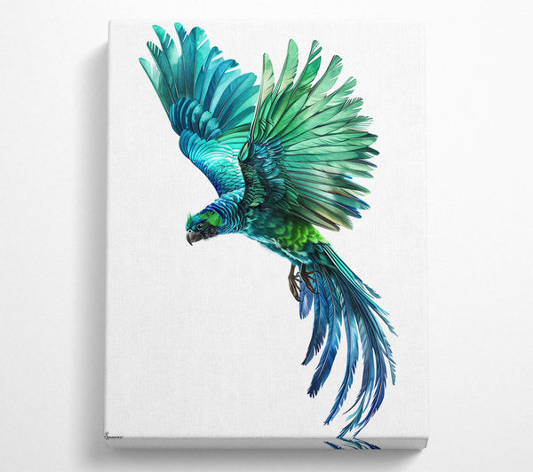  A Canvas Print of Flight Of The Macaw Canvas Wall Art