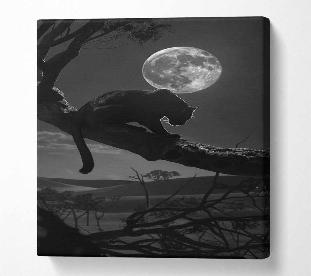  A Canvas Print of Night Prowler Canvas Art