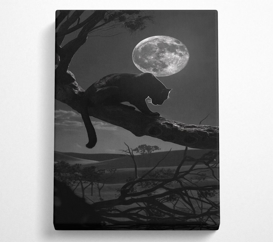  A Canvas Print of Night Prowler Canvas Art