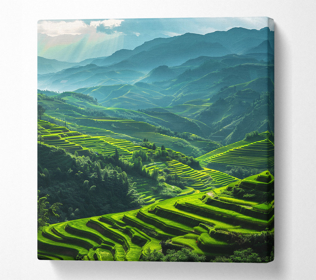  A Canvas Print of Rice Terraces Canvas Wall Art
