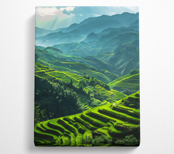  A Canvas Print of Rice Terraces Canvas Wall Art