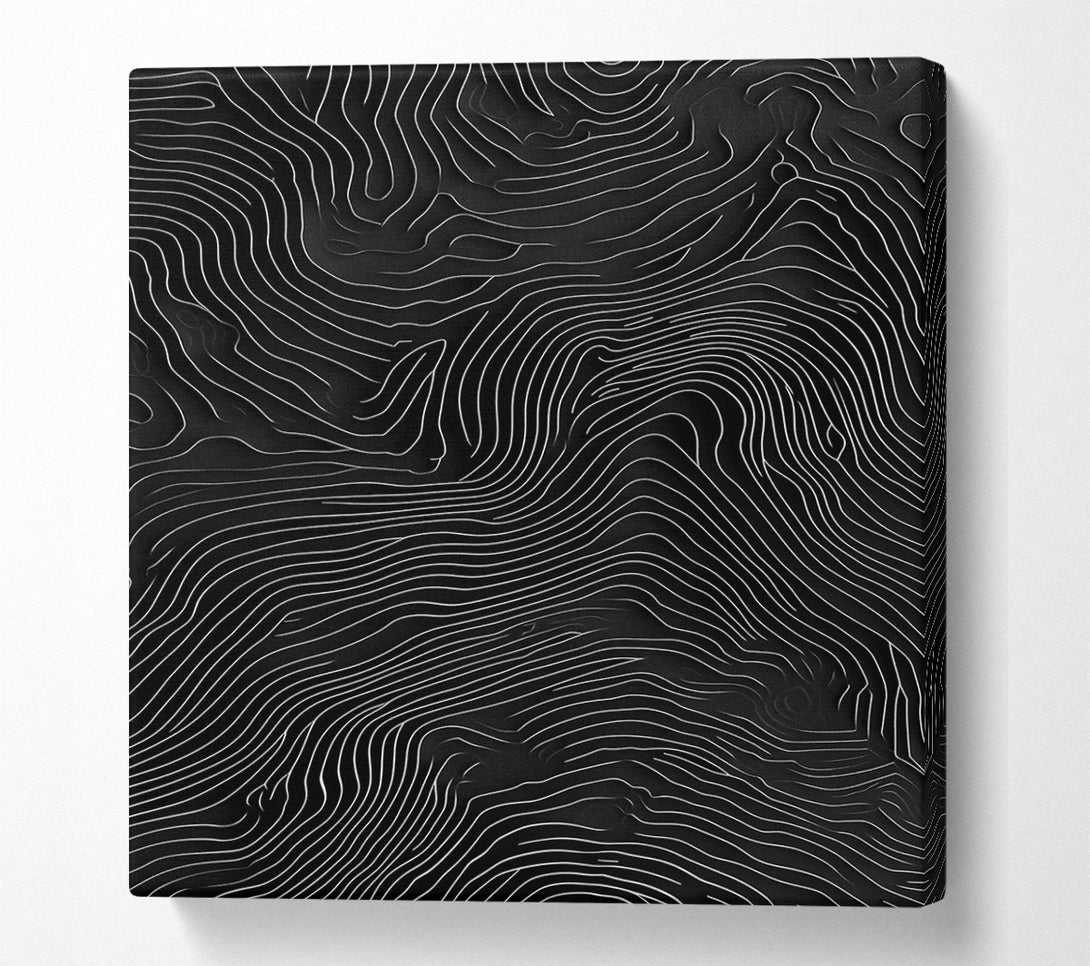  A Canvas Print of Topographic Reverie Canvas Wall Art