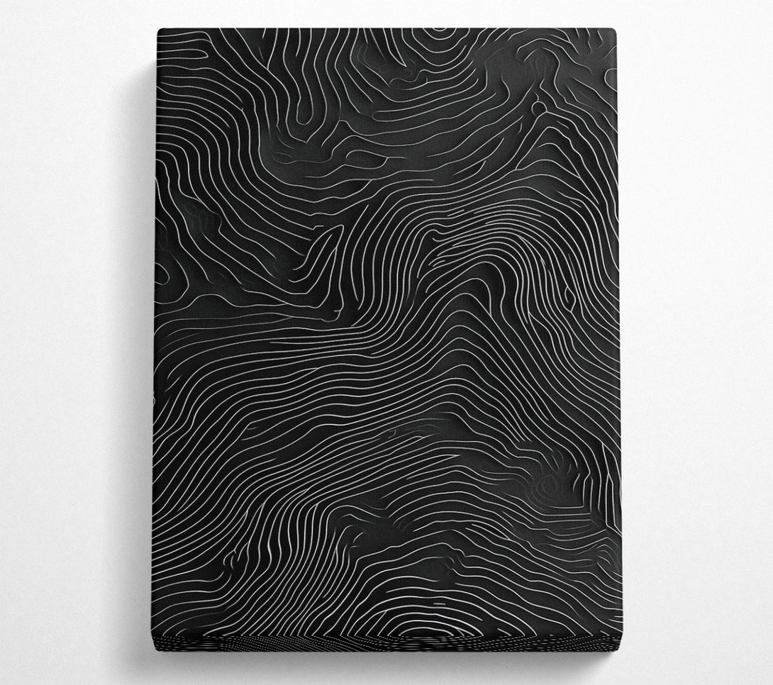  A Canvas Print of Topographic Reverie Canvas Wall Art