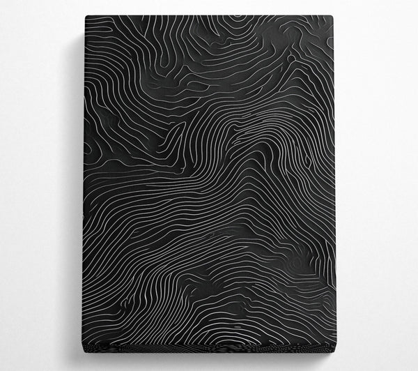  A Canvas Print of Topographic Reverie Canvas Wall Art