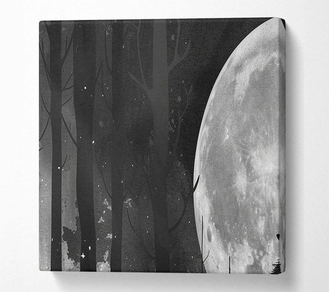  A Canvas Print of Moonlit Forest Canvas Print