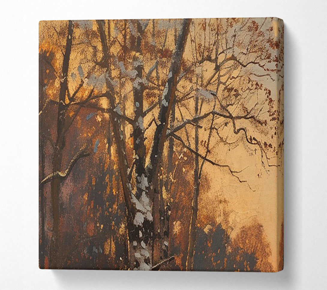  A Canvas Print of The Silence Of The Forest Canvas Print