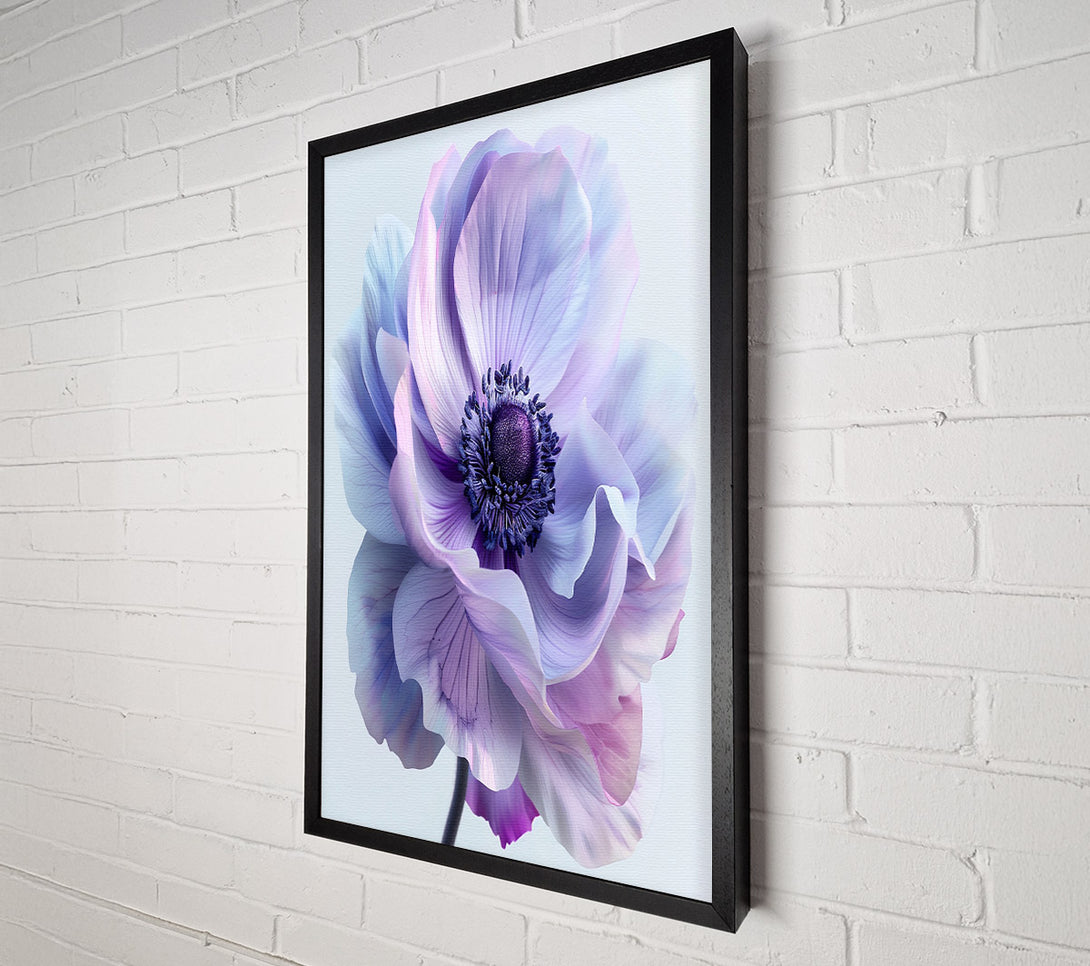  A Canvas Print of Anemone Canvas Art