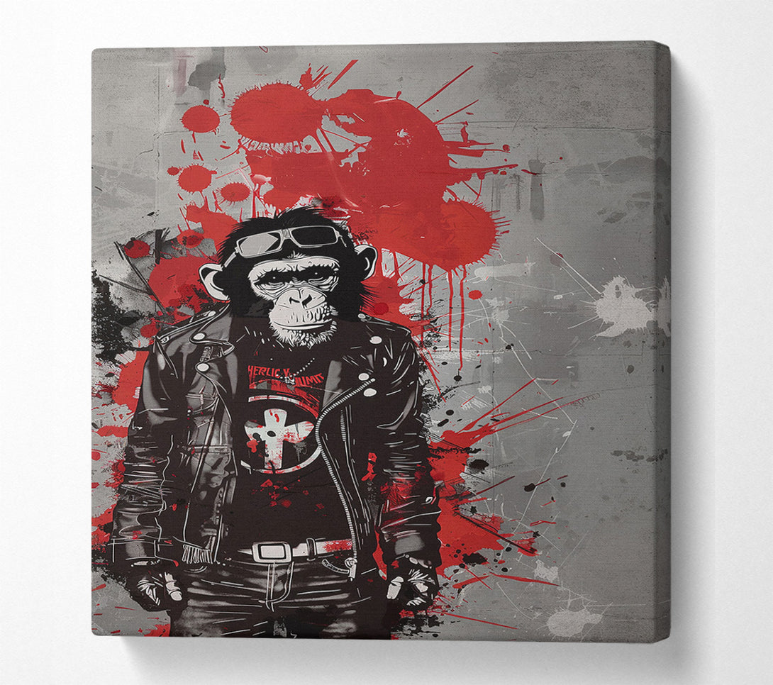  A Canvas Print of Rebellious Primate Canvas Wall Art