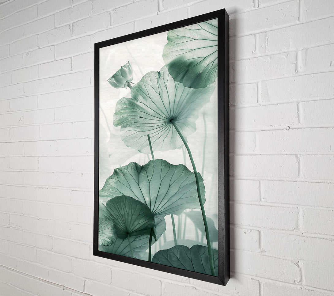  A Canvas Print of Tranquil Beauty Canvas Art