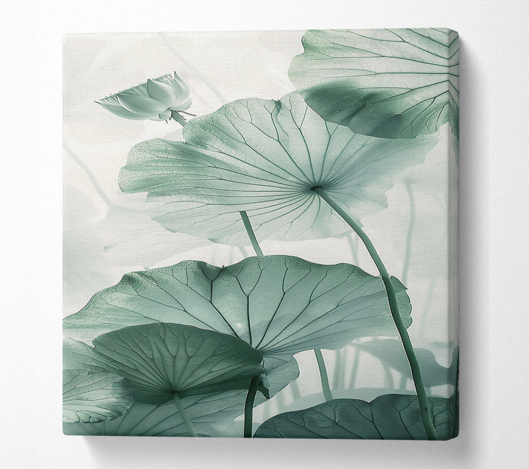  A Canvas Print of Tranquil Beauty Canvas Art