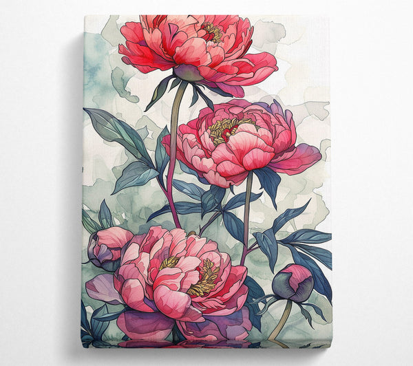  A Canvas Print of Blushing Peonies Canvas Wall Art