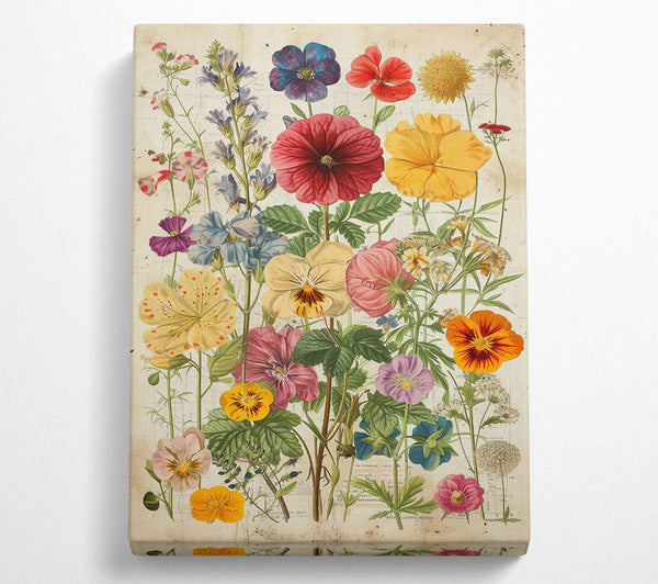  A Canvas Print of A Burst Of Spring Canvas Wall Art