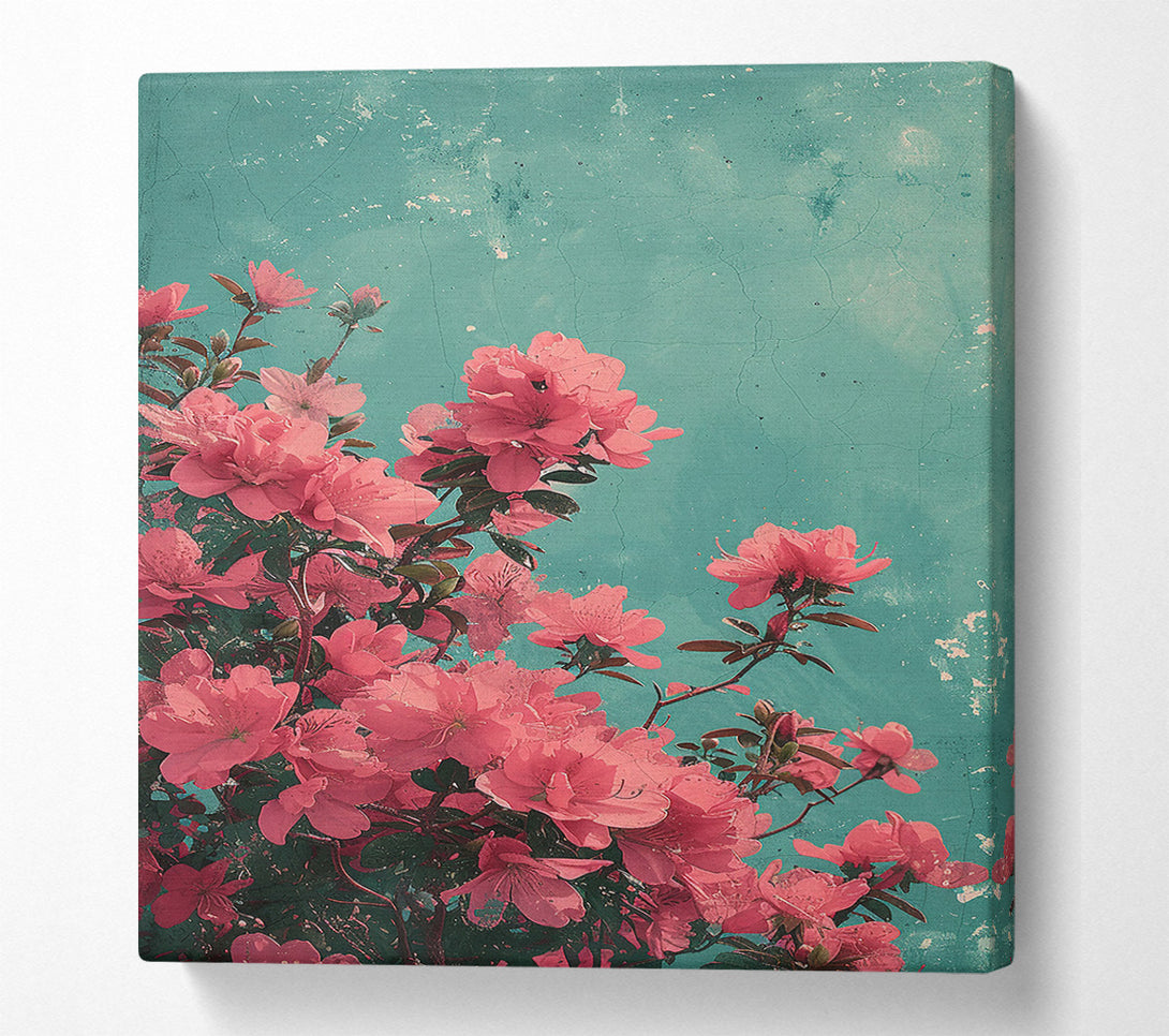  A Canvas Print of Pink Azaleas In Bloom Canvas Art