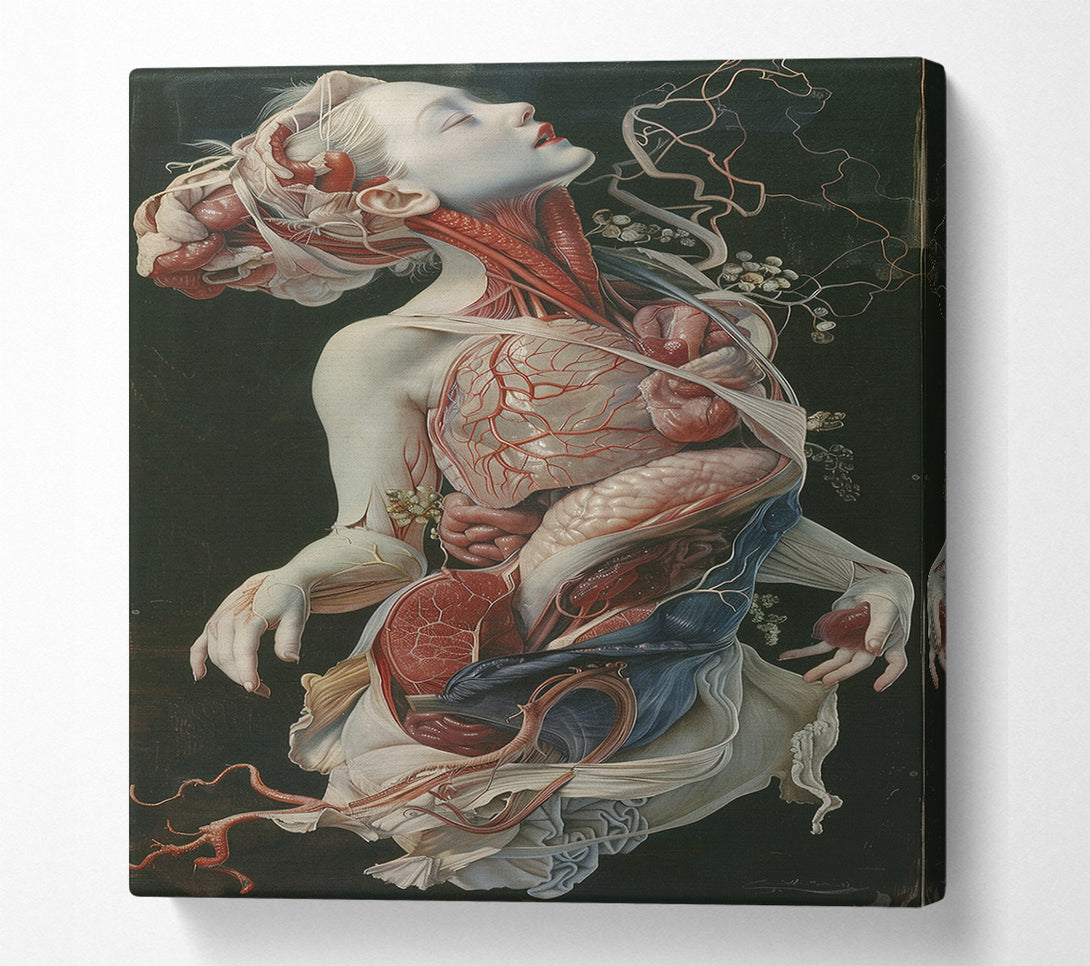  A Canvas Print of The Anatomy Of Melancholy Canvas Wall Art