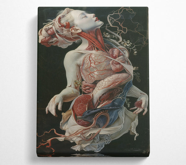  A Canvas Print of The Anatomy Of Melancholy Canvas Wall Art