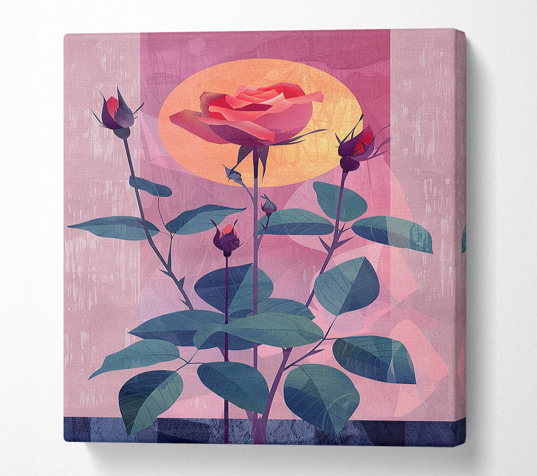  A Canvas Print of First Blush Canvas Print