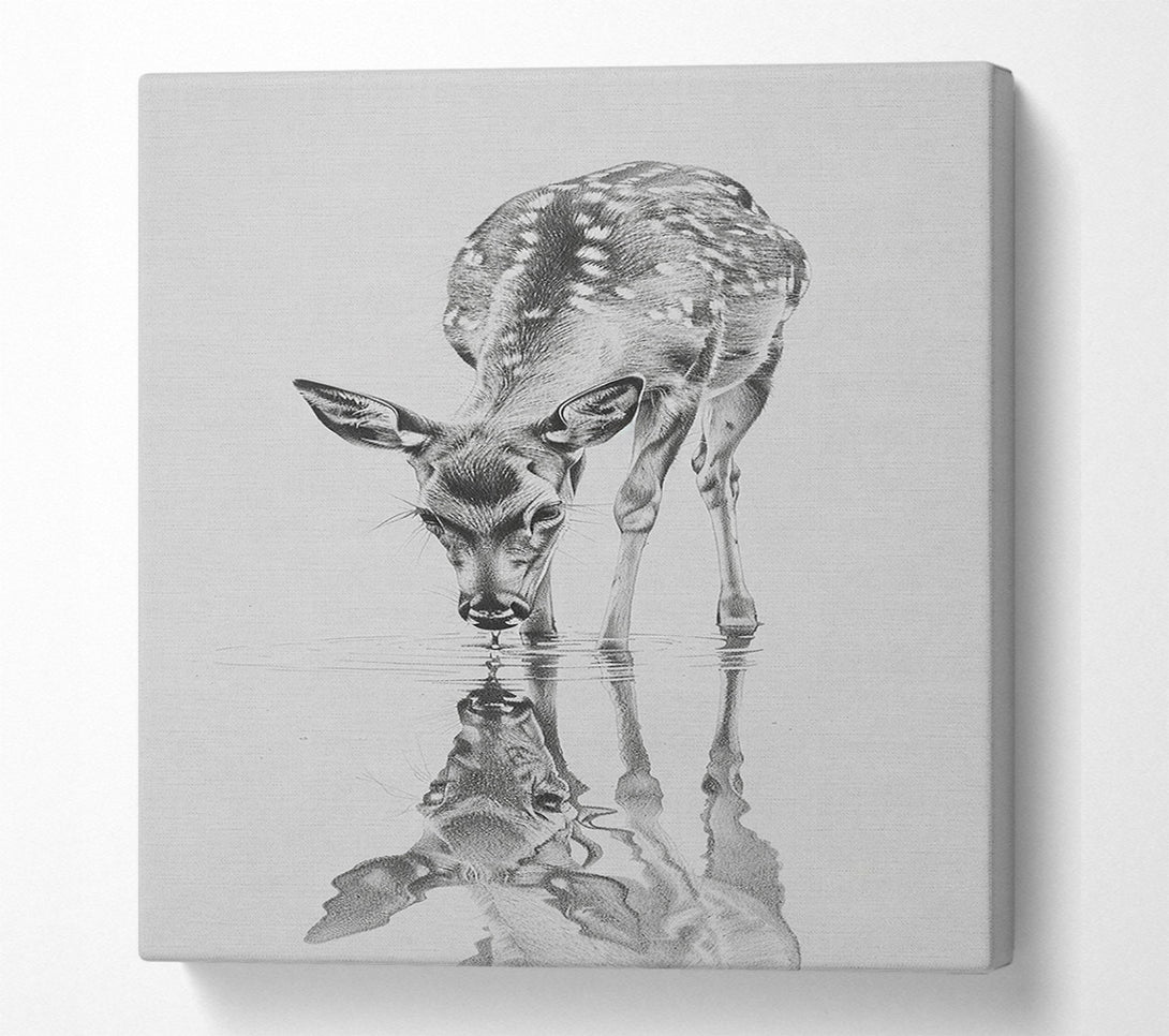  A Canvas Print of Reflections Canvas Print