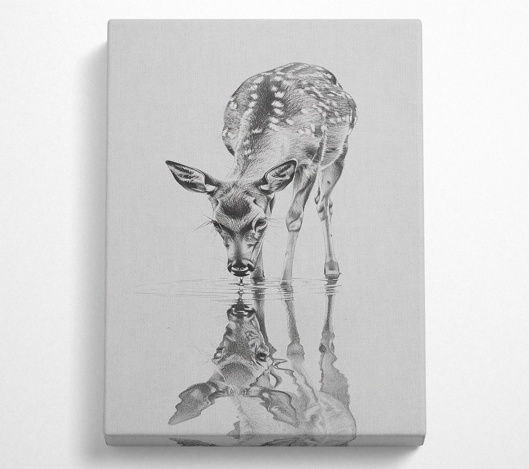  A Canvas Print of Reflections Canvas Print
